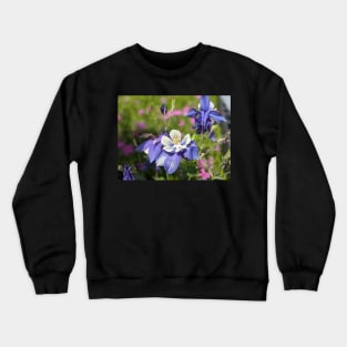 Rocky Mountain Columbine in Meadow Crewneck Sweatshirt